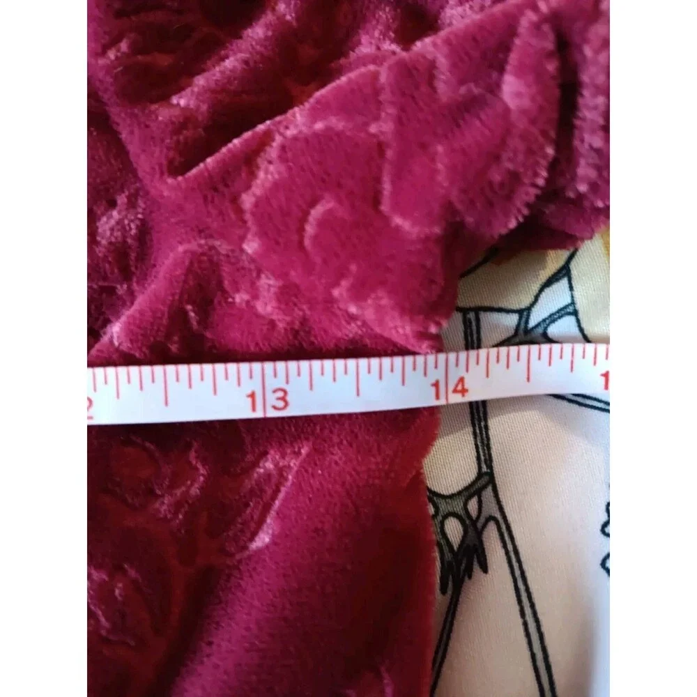Gymboree Girls Red Crushed Velvet Dress with Faux-Fur Peter Pan Collar 3XL  8yrs